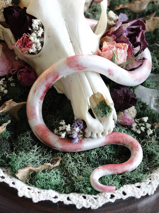 Mixed Media Snake & Fox Skull