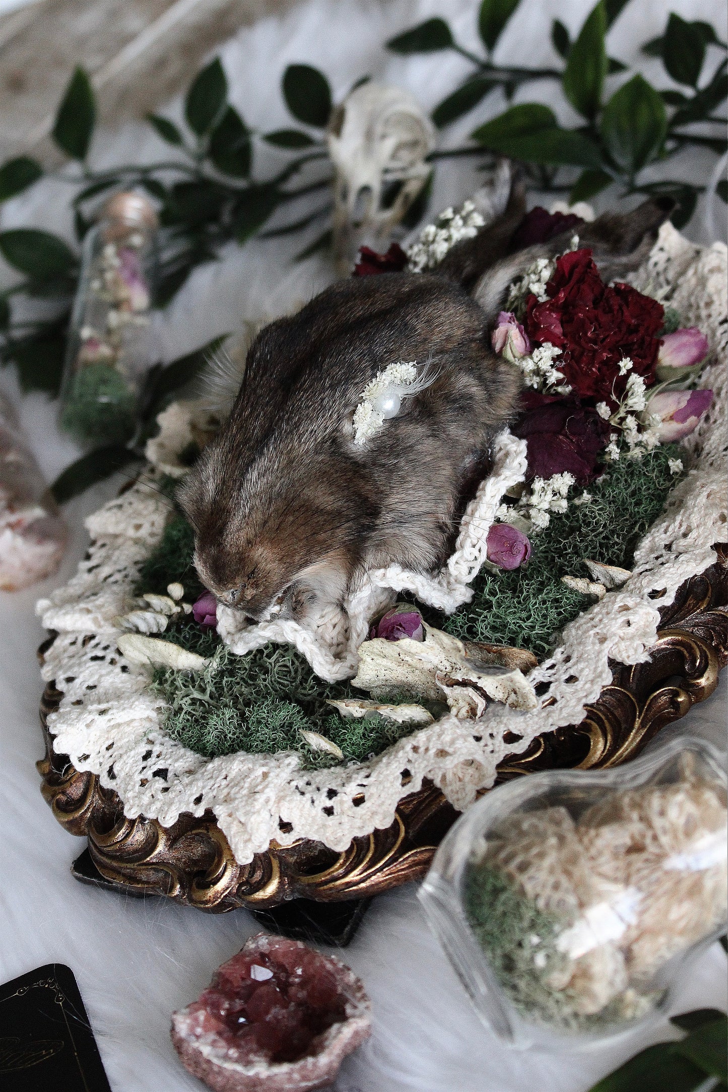 Bunny Taxidermy Mount in Burgundy