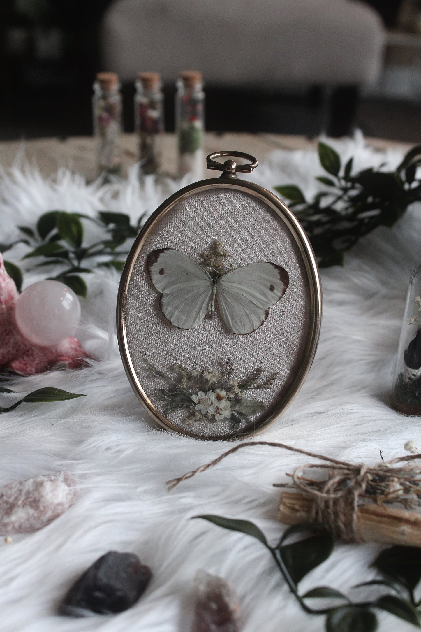 Butterfly in Vintage Tabletop Bubble Glass Frame