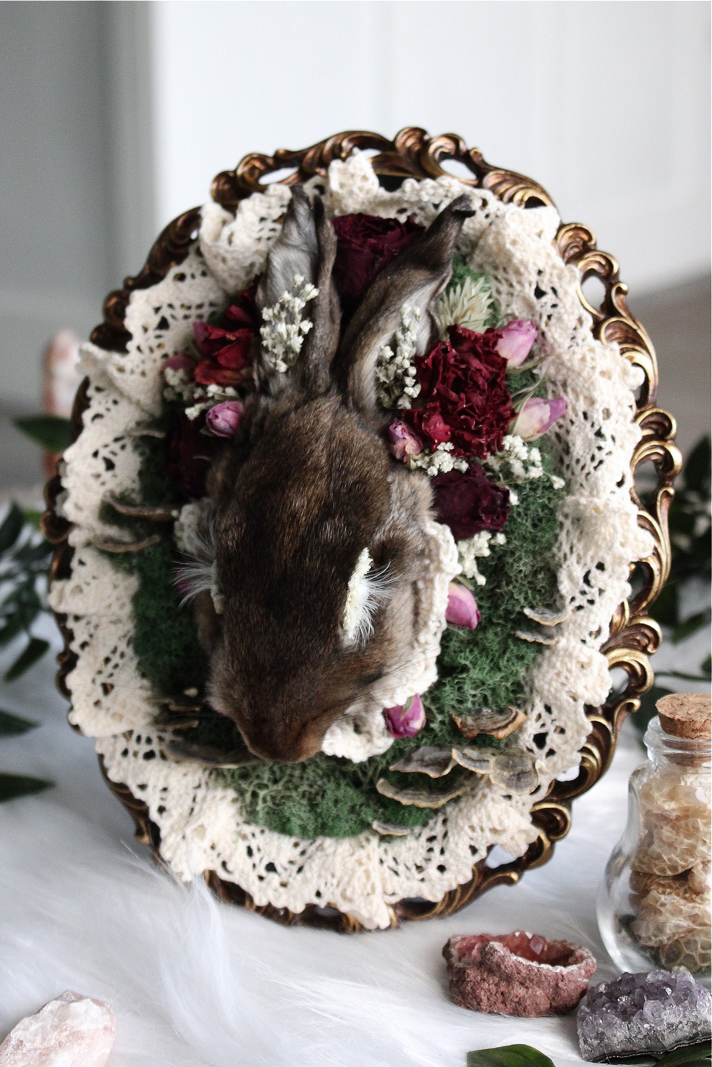 Bunny Taxidermy Mount in Burgundy