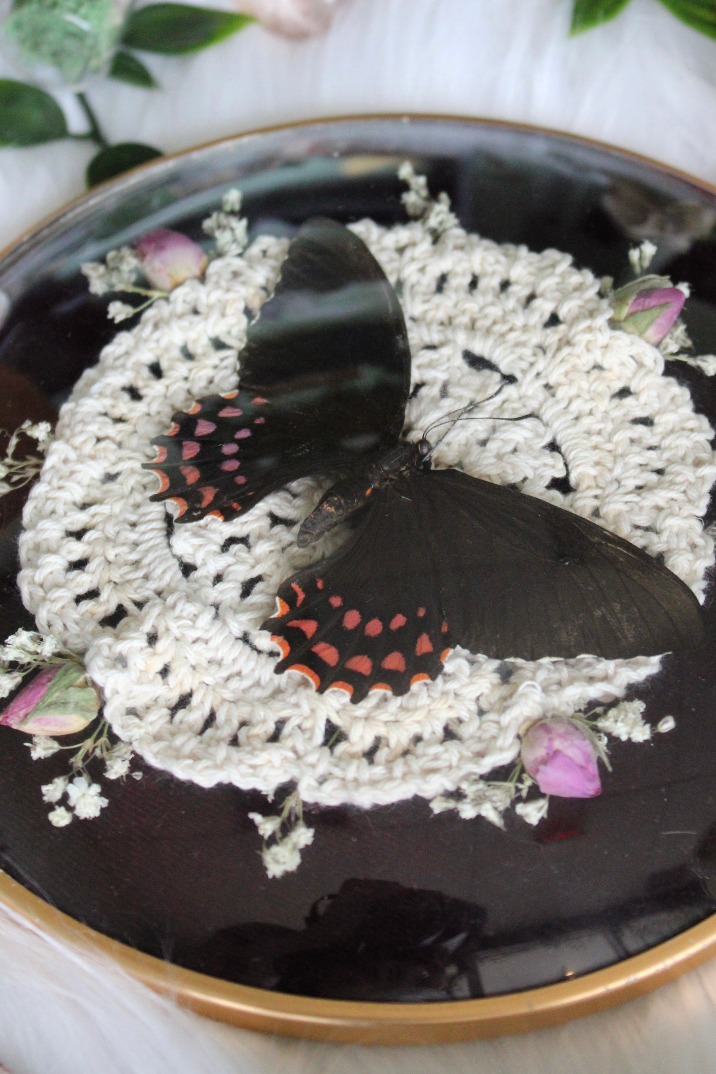 Cottagecore Butterfly in Simple Vintage Bubble Glass Frame