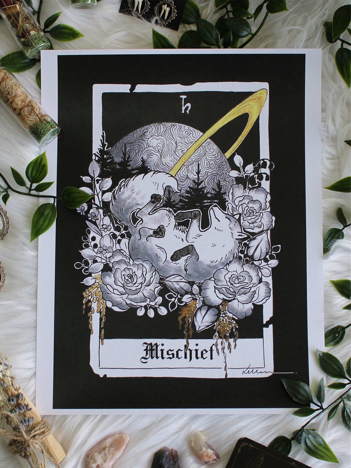 Tarot Card Print Collection