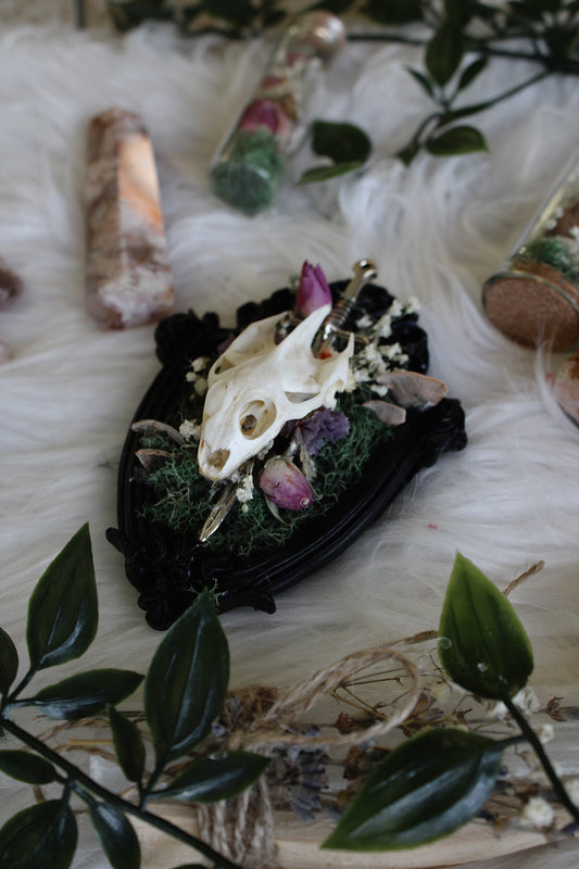 Made to Order Baby Dragon Skull & Sword