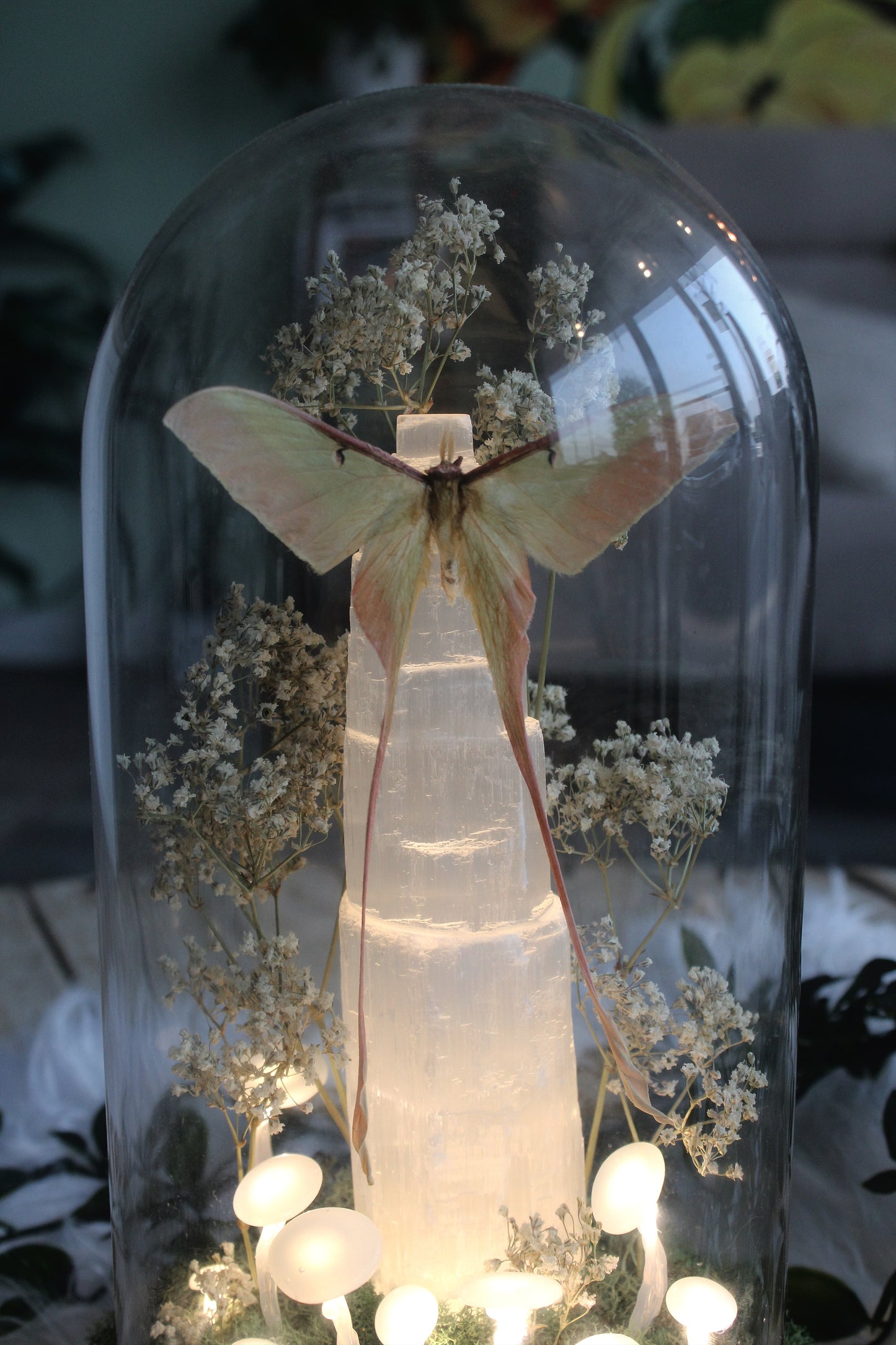 Selenite Night Light with Chinese Luna