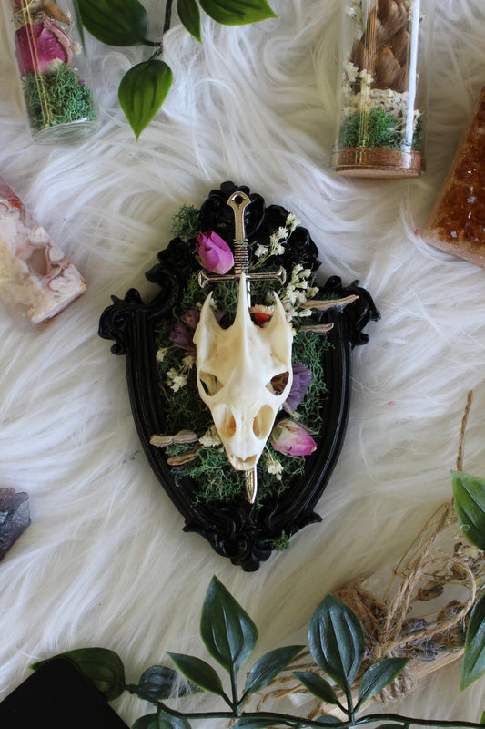 Made to Order Baby Dragon Skull & Sword
