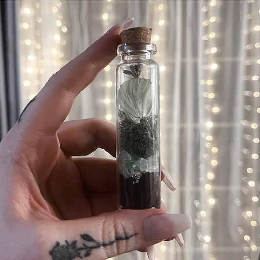 Butterfly & Crystal Specimen Jar Green