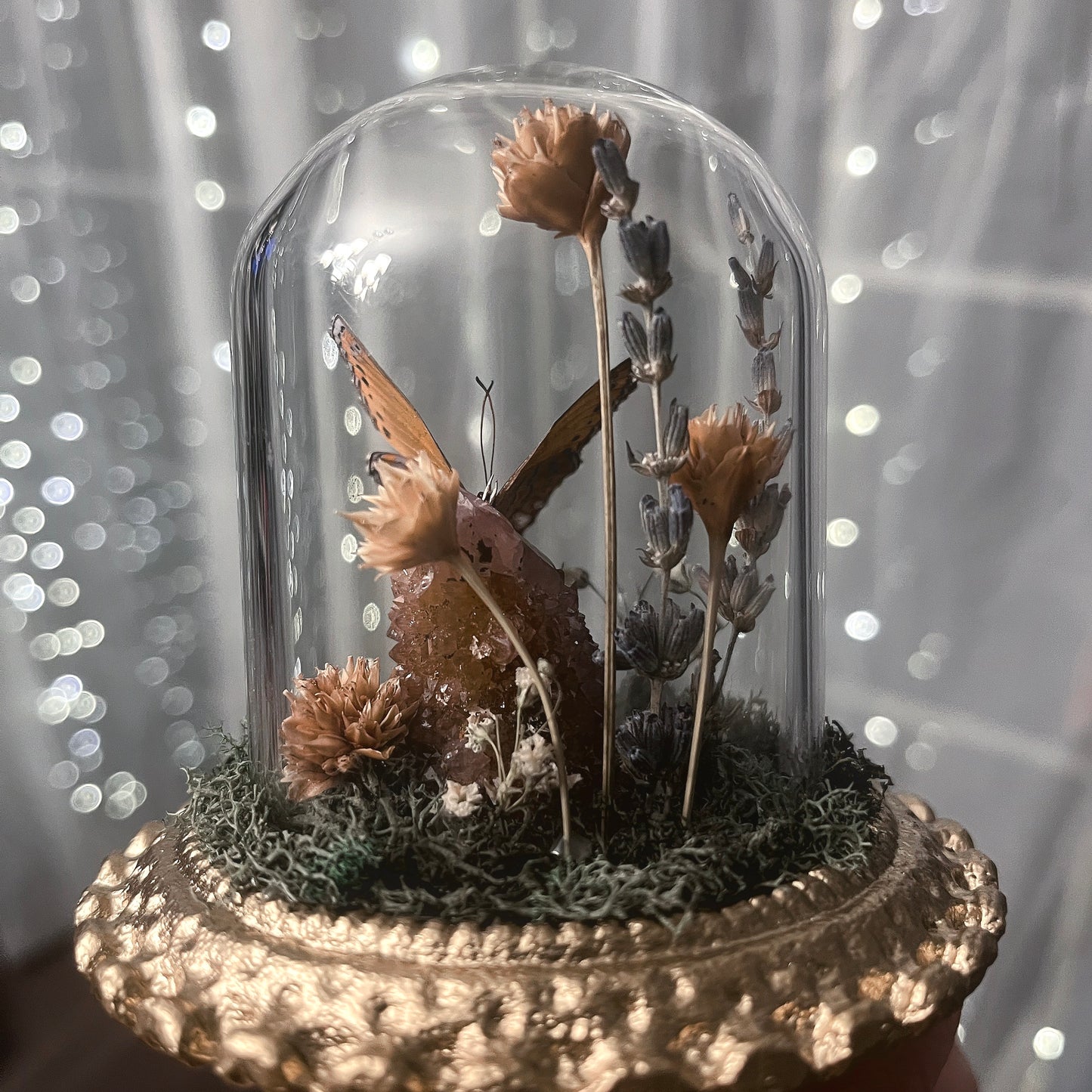 Fancy Glass Dome with Spotted Lilac Tree Nymph & Cactus Quartz