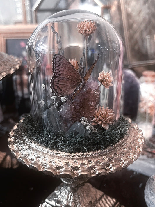 Fancy Glass Dome with Spotted Lilac Tree Nymph & Cactus Quartz