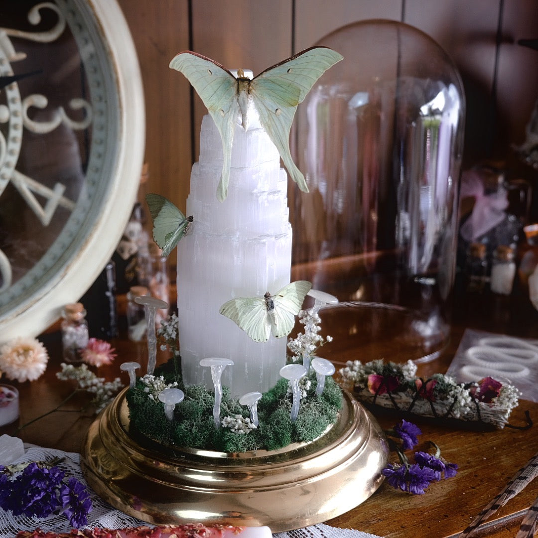 Selenite Night Light with Luna Moth & Friends