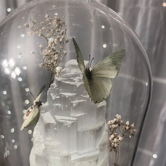 Selenite Night Light with Butterflies & Glow in the Dark Mushrooms