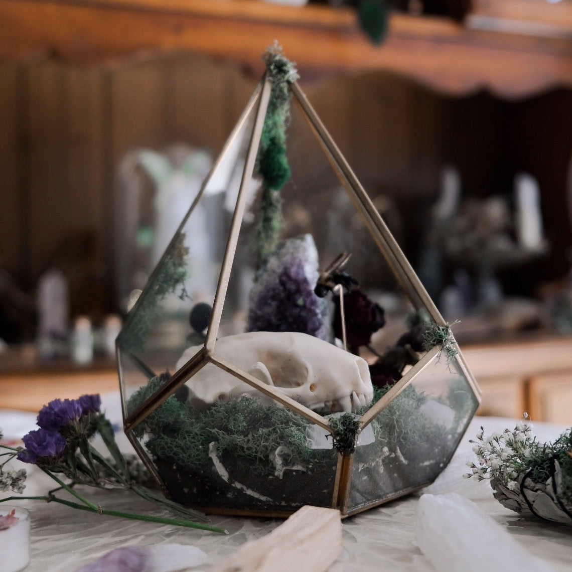 Glass Bone Garden with Skunk Remains & Bumblebee