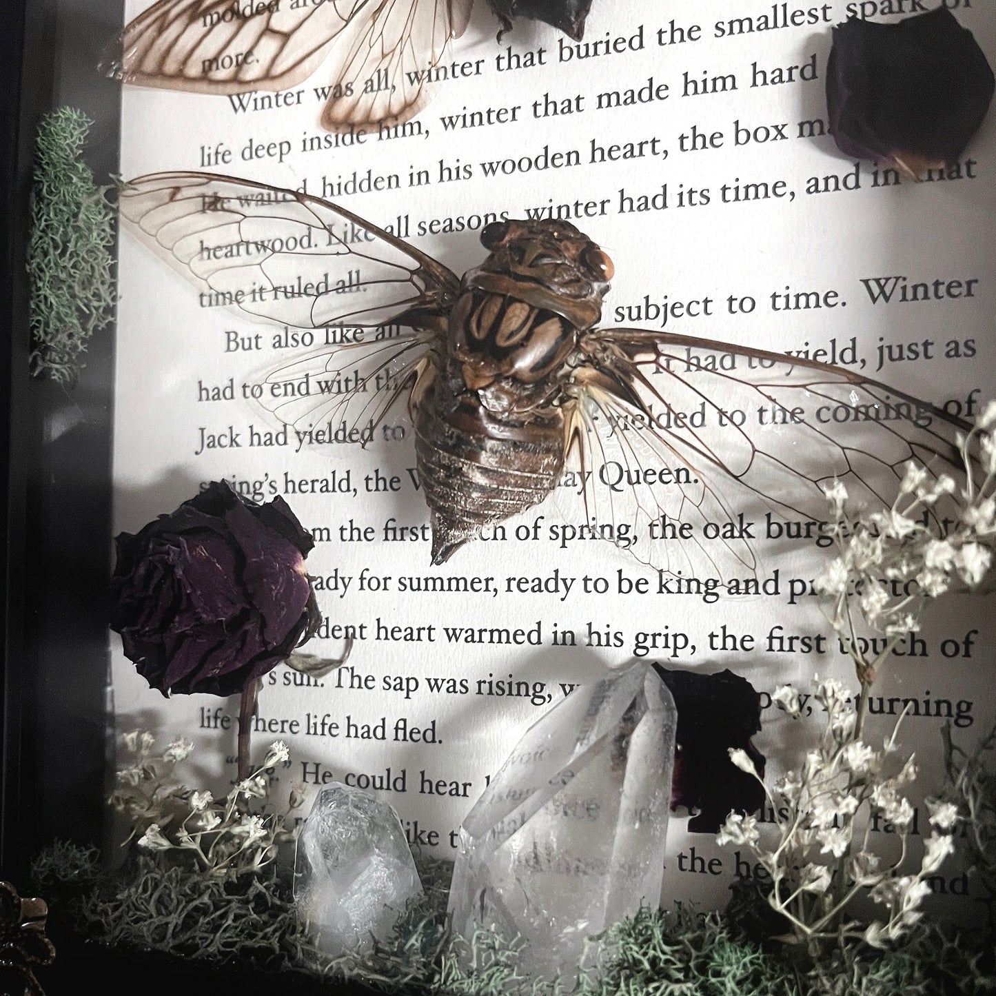 Made to Order Love Story Cicadas