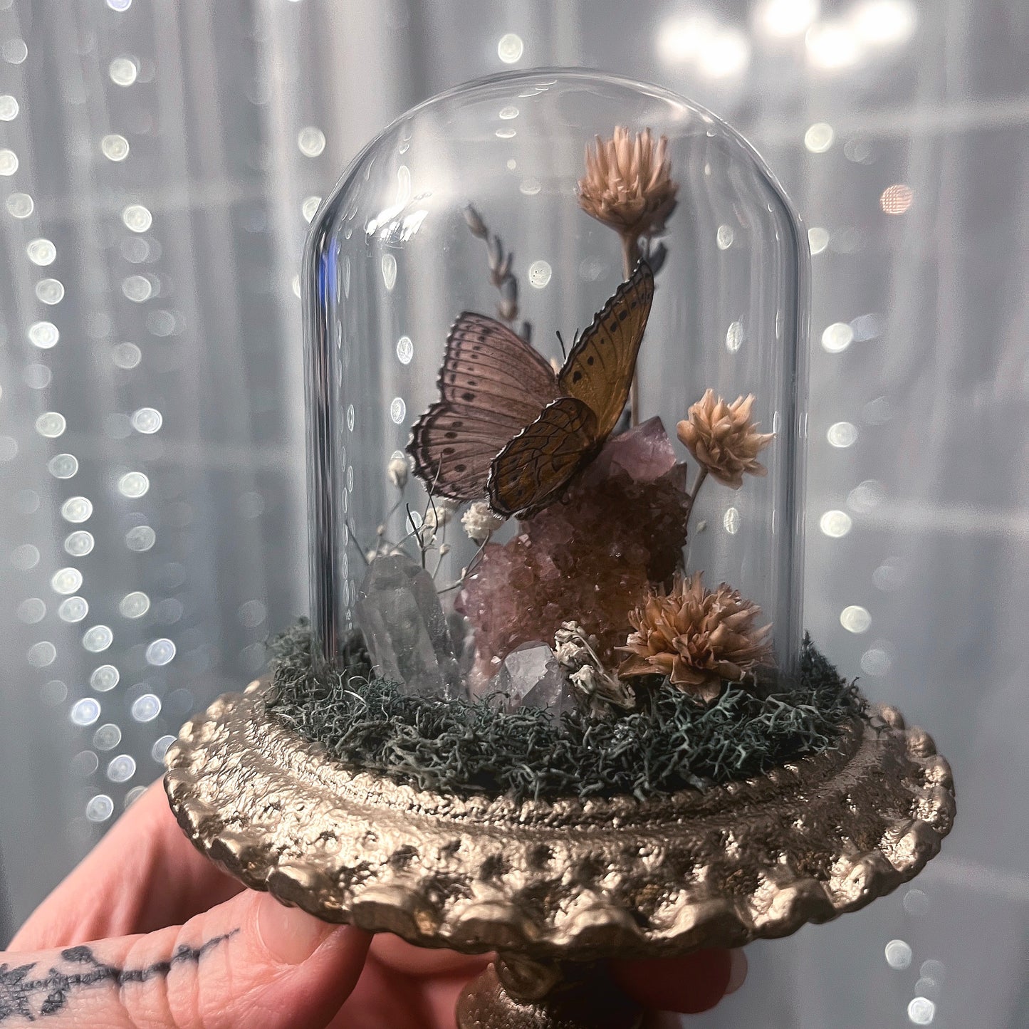 Fancy Glass Dome with Spotted Lilac Tree Nymph & Cactus Quartz