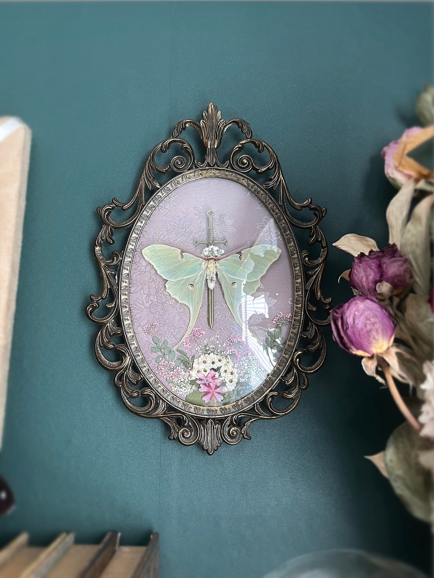 Made to Order Luna Moth & Longsword in Vintage Convex Glass Frame