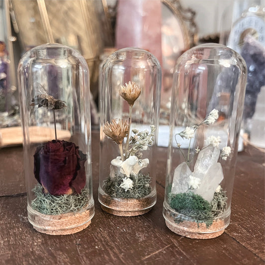 Mini Bell Jar Oddities