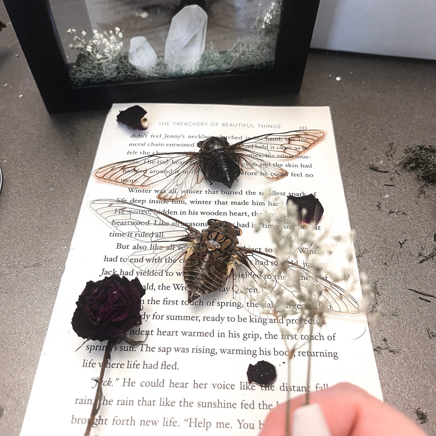 Made to Order Love Story Cicadas