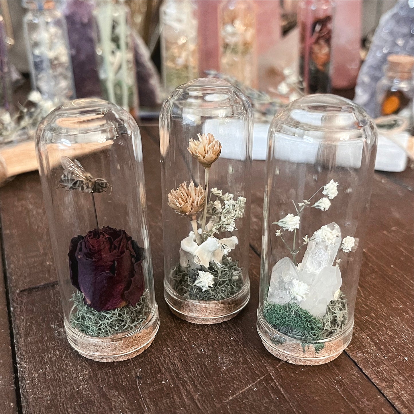 Mini Bell Jar Oddities