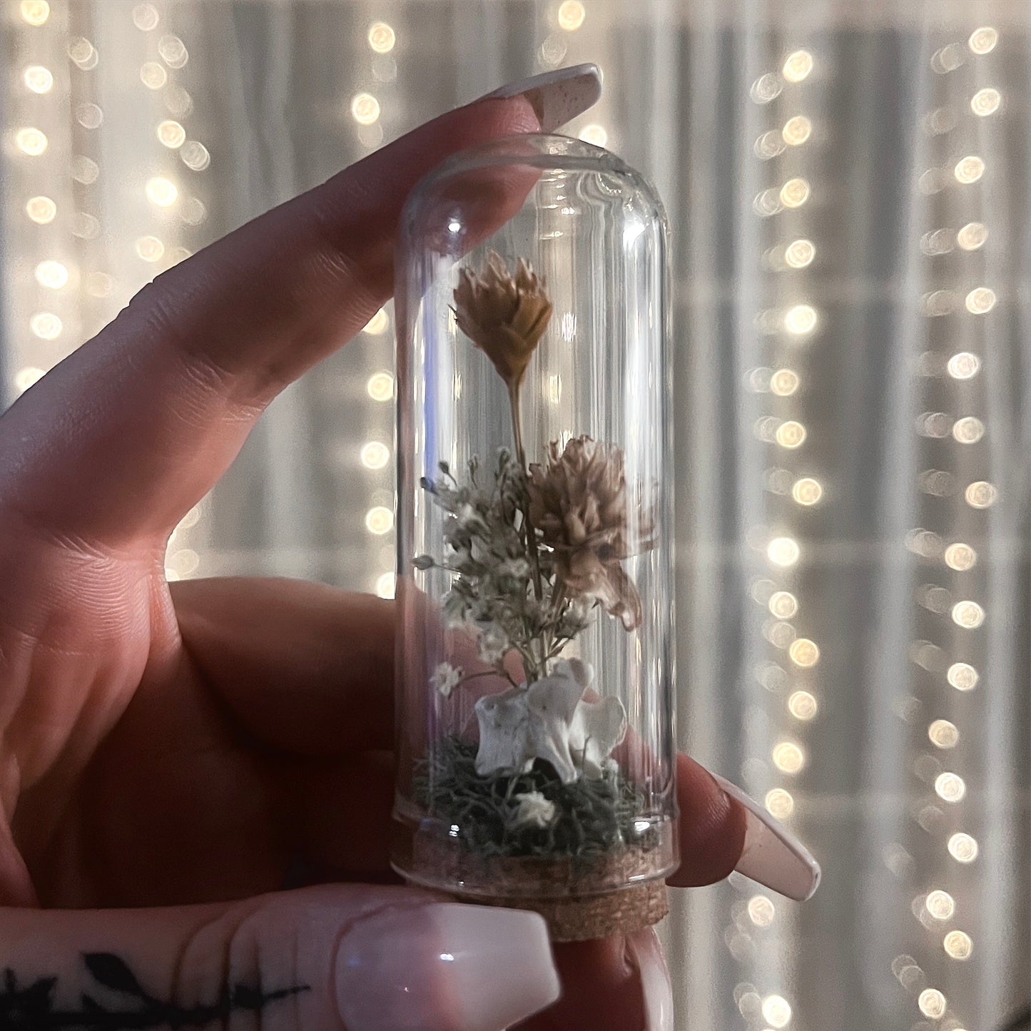 Mini Bell Jar Oddities