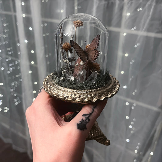 Fancy Glass Dome with Spotted Lilac Tree Nymph & Cactus Quartz