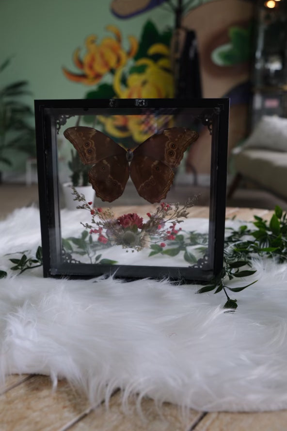 Blue Morpho with Spring Florals Shadowbox