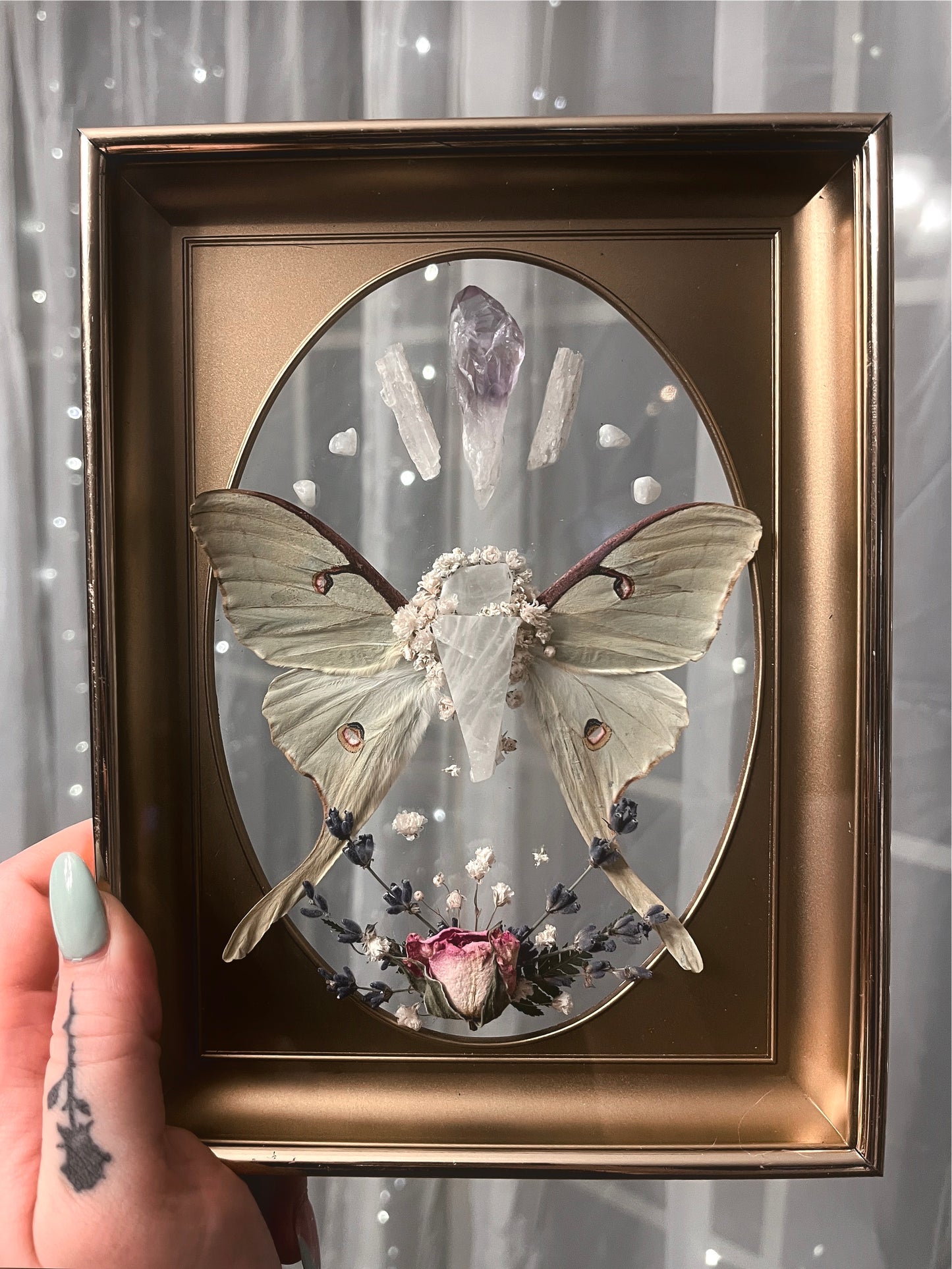 Made to Order Luna Moth Wings & Moonstone in Vintage Frame