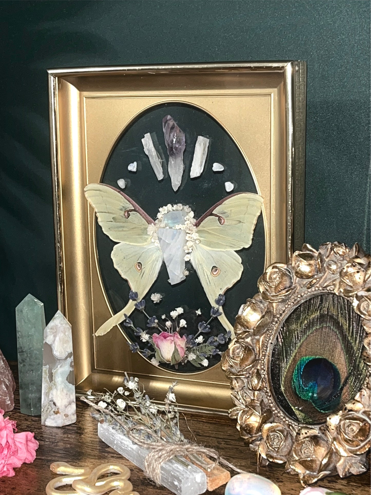 Made to Order Luna Moth Wings & Moonstone in Vintage Frame