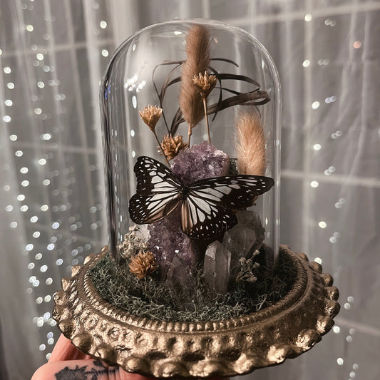 Fancy Glass Dome with Spotted Butterfly& Amethyst