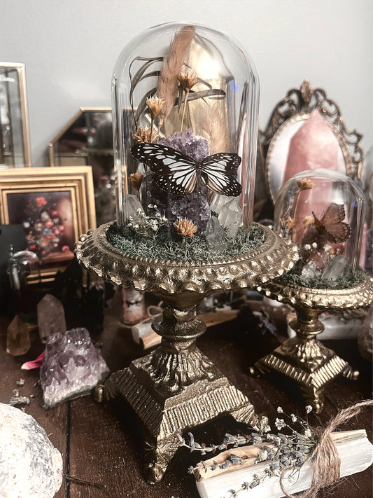 Fancy Glass Dome with Spotted Butterfly& Amethyst