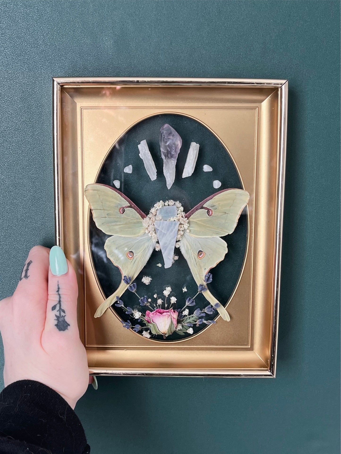 Made to Order Luna Moth Wings & Moonstone in Vintage Frame