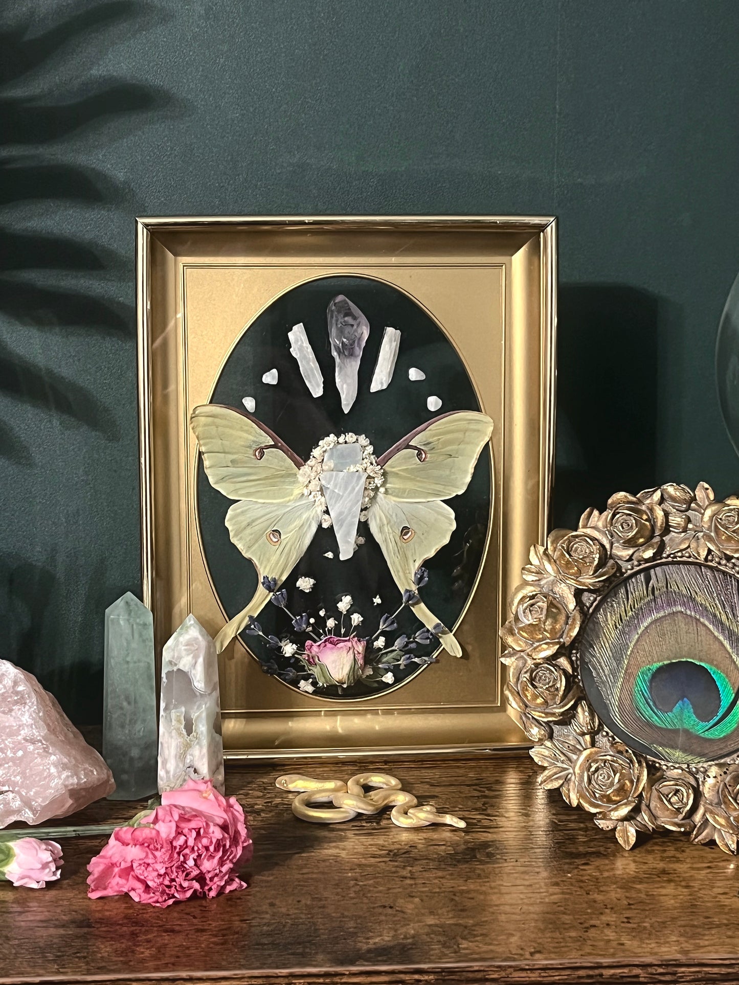 Made to Order Luna Moth Wings & Moonstone in Vintage Frame