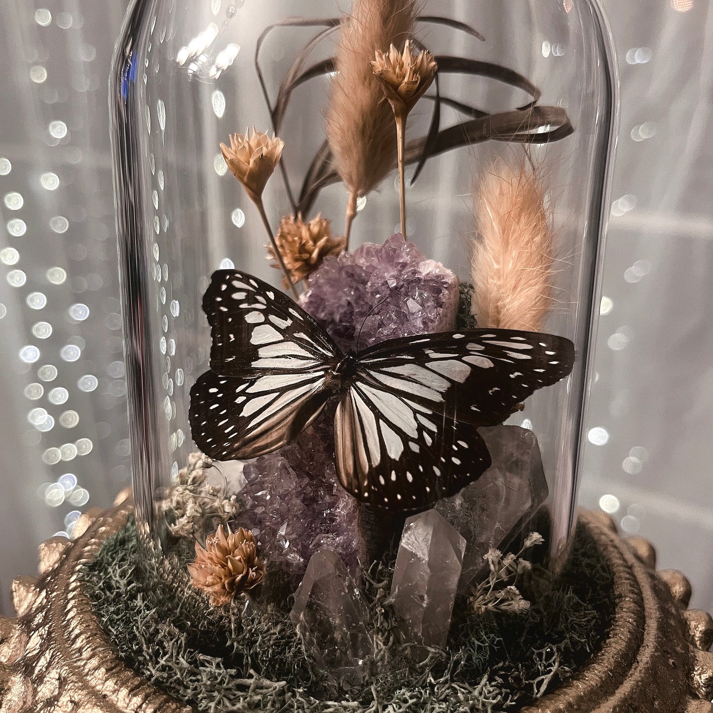 Fancy Glass Dome with Spotted Butterfly& Amethyst