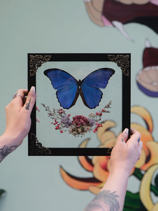 Blue Morpho with Spring Florals Shadowbox